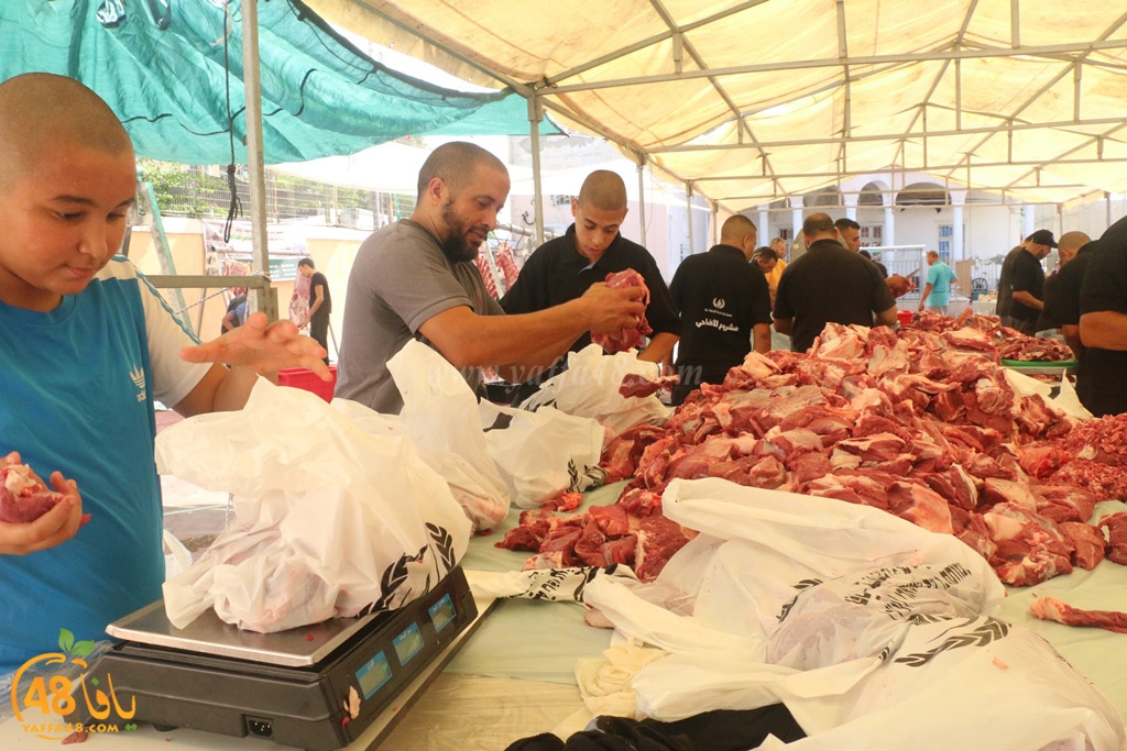 ada7y forthei (57).JPG